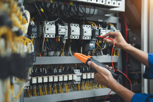 Best Electric Panel Repair  in Windsor, NC